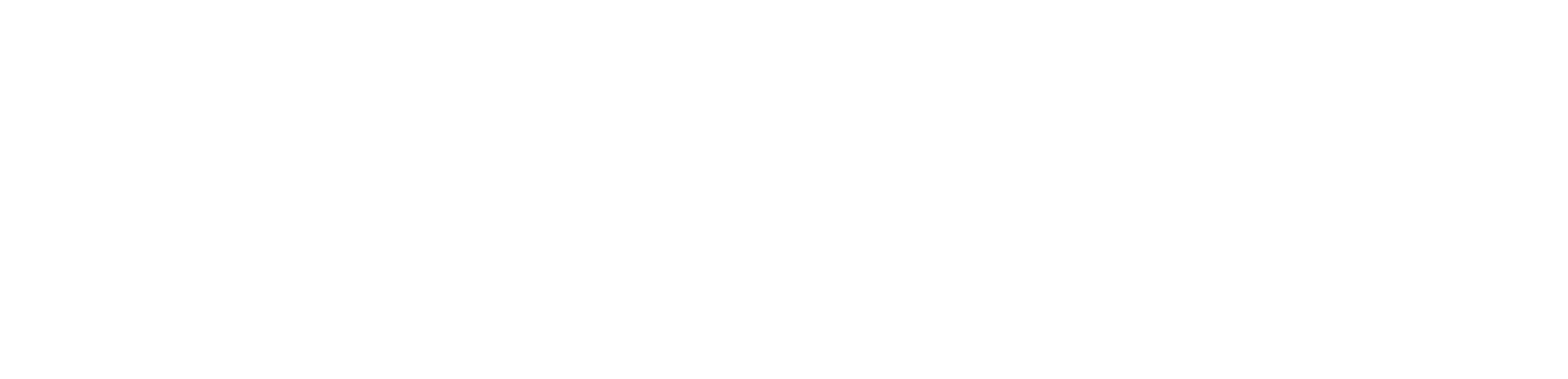 KOTIŠ Group